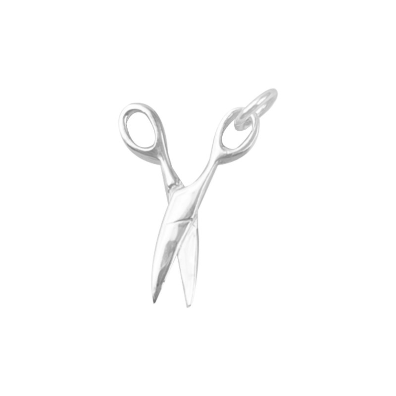 Curabitur cursus dignis